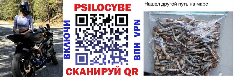 Галлюциногенные грибы мицелий Серов